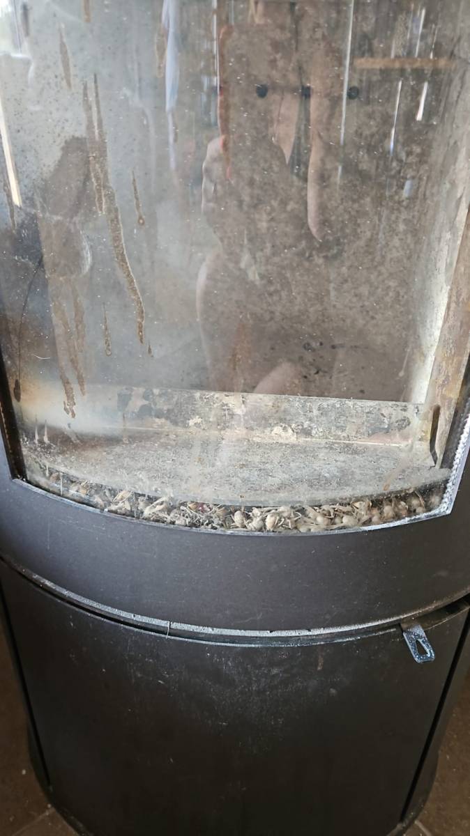 Attention aux frelons asiatiques dans vos conduits de cheminée !